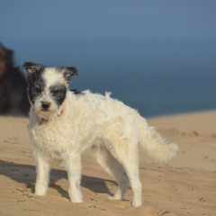 Leeloos Theme - 12.04.24, 18.19