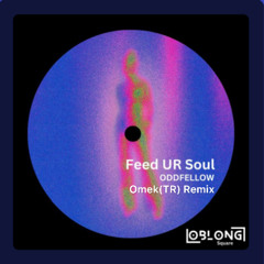 Oddfellow - Feed Your Soul [Omek (TR) Remix]
