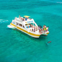 Review Special Price Morning Half Day Cruise From Providenciales With Snorkeling And Iguana Island