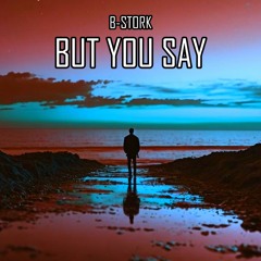 B-Stork - But You Say (Radio Mix)