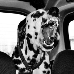 DIDNTKNOWBOUTIT ++ 𝕼𝖚𝖎𝖊𝖙𝕹𝖆𝖗𝖈𝖔