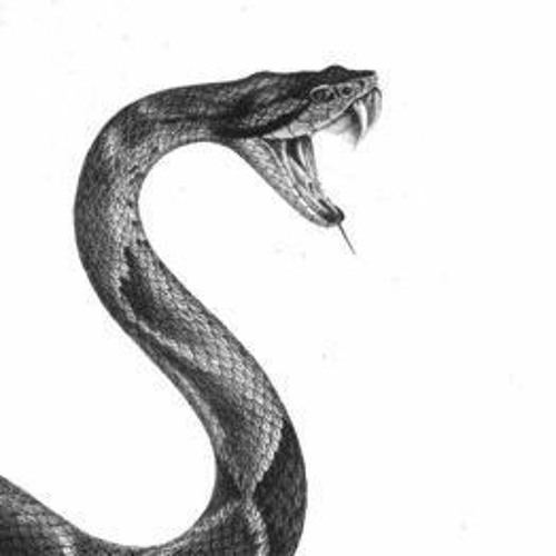 Змея с открытым ртом рисунок
