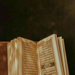 سورة يوسف- هزاع البلوشي.