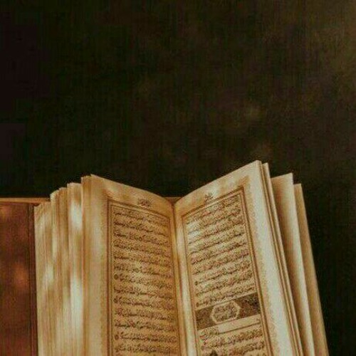 سورة يوسف- هزاع البلوشي.