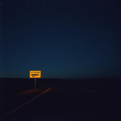 Going Lonely (2025)