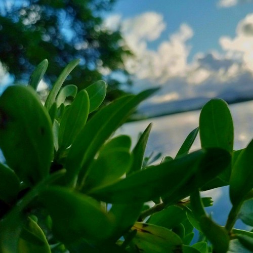 Bwod in am (W- Lyrics) - Tarwoj Tj Bokin