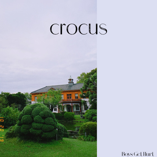 crocus