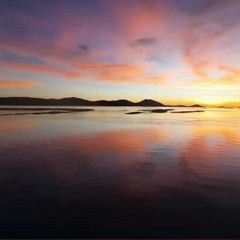 𝑋𝑏𝑎𝑤 𝑂𝑛𝑒 𝐶𝑎𝑙𝑙 𝑎𝑤𝑎𝑦 🍃🍷