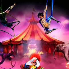 Circus