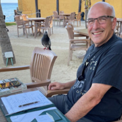 “The Pigeon on the Chair “ (reel)