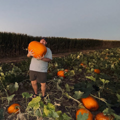 draynor pumpkins
