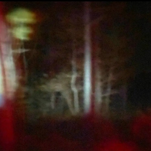I think I can talk (prod. whokilledfendi)