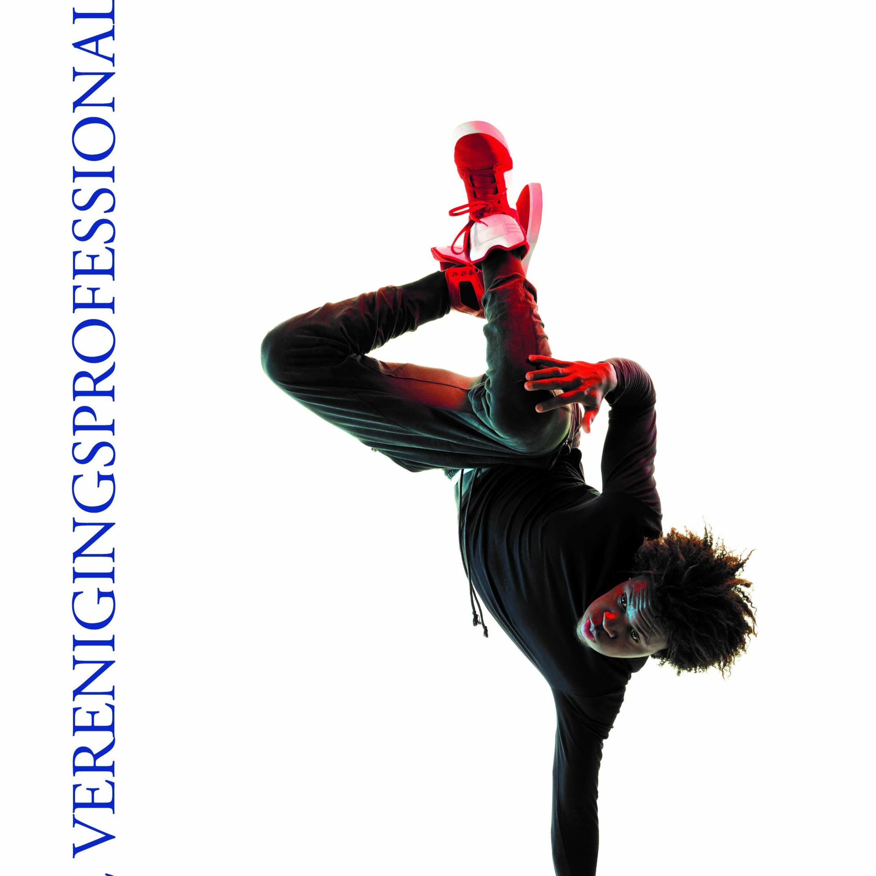 VP de Verenigingsprofessional