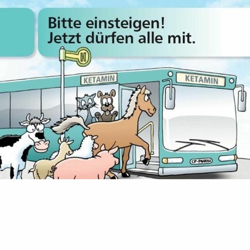 138_BeatsInDerMinuteUndAbGehtDieWildeStute