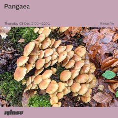 Pangaea - 03 December 2020