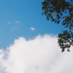 Acura Integurl (prodcolin Flip)