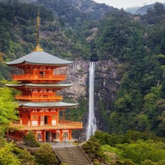 Search Of Shrines