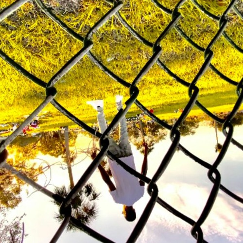 Set Free