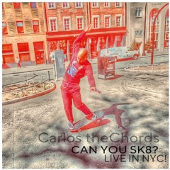 CAN YOU SK8?