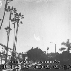 Chemm Dogg - All My Love (Prod. Oddisy)