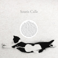 A Cat Named Mouse