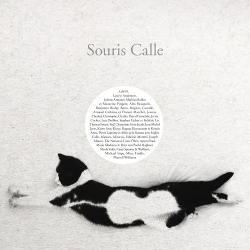 A Cat Named Mouse