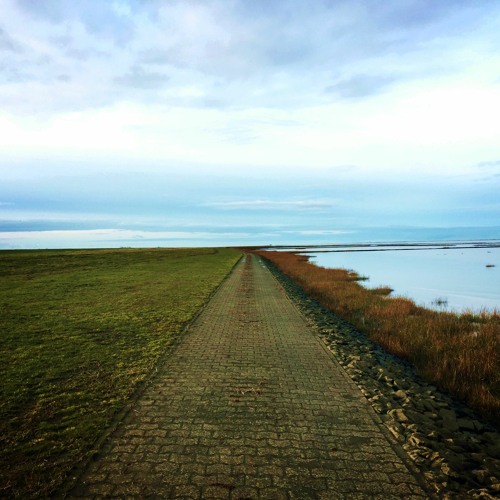 Coast Ways