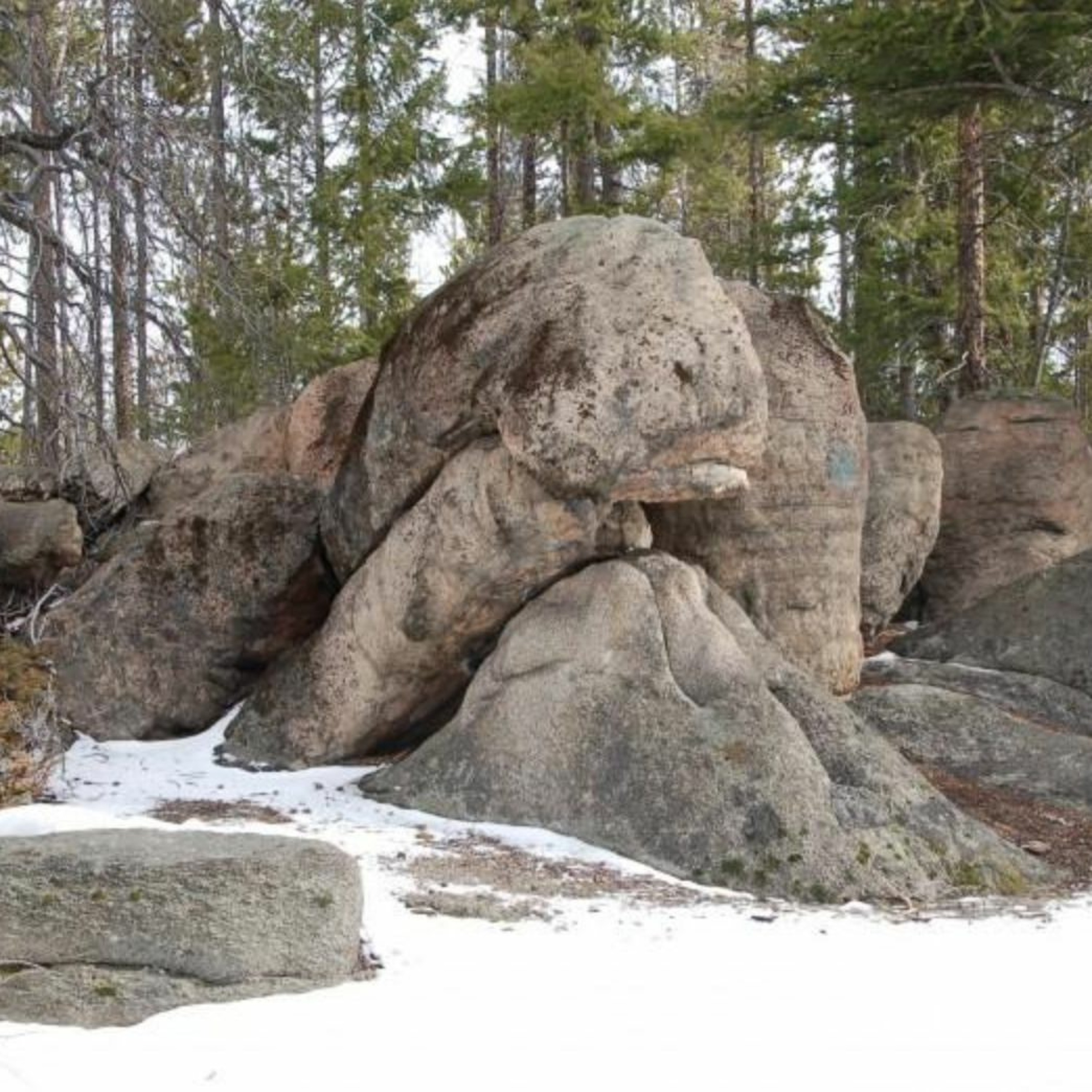 Trail of the Week