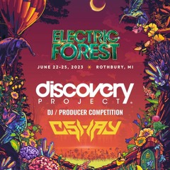 CShay - Discovery Project: Electric Forest 2023