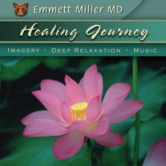 Healing Journey 2