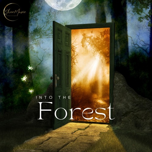 Into The Forest (Instrumental)