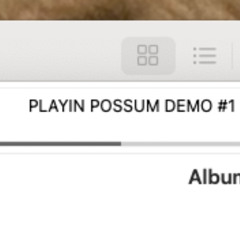 PLAYIN POSSUM DEMO