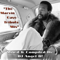 The Marvin Gaye Tribute Mix - Mixed & Compiled By: DJ Angel B!