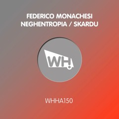 Federico Monachesi - Skardu [What Happens] Snippet
