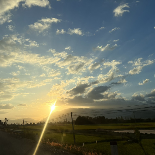 Cá vượt ngược dòng là cá sống. Người vượt nghịch cảnh người thành công