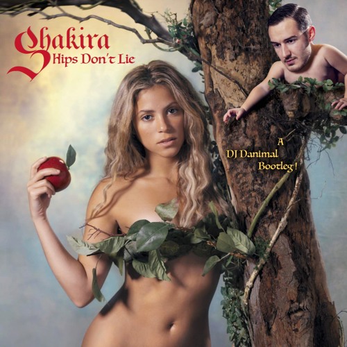 Hips Don't Lie (Danimal Bootleg) FREE DOWNLOAD