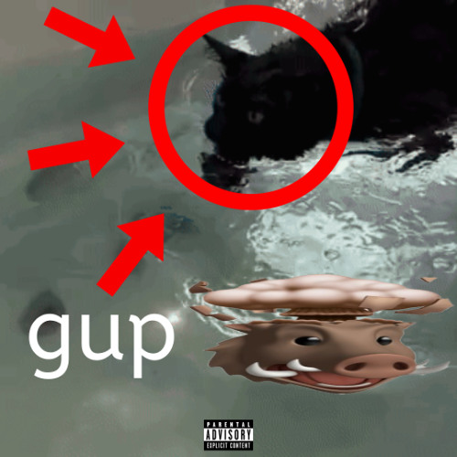 gup [prod. ydustin9 & me]
