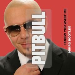 PITBULL - I Know You Want Me (Mikro Bootleg) Filtered