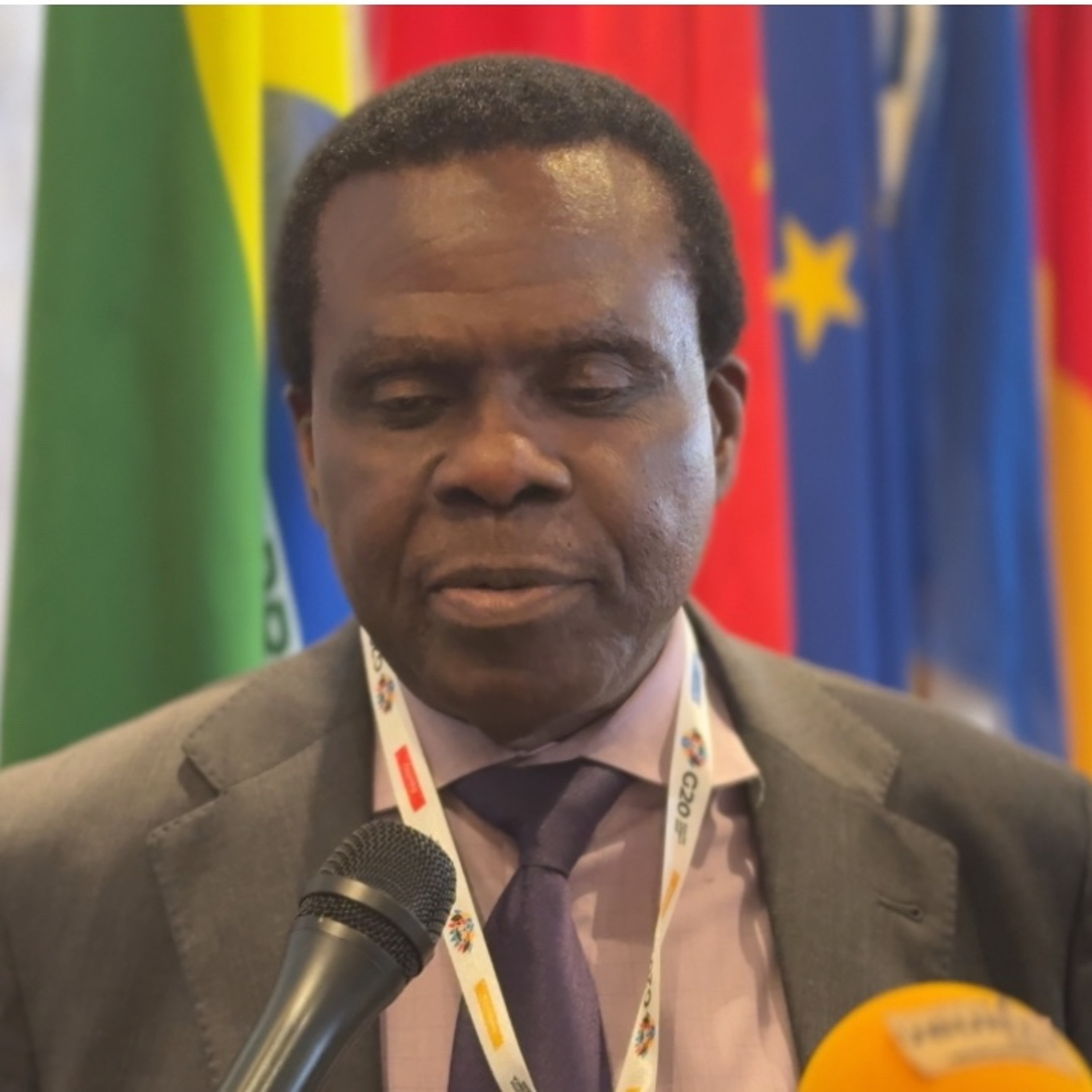 DR BRIGHT OKOGU WORLD TRADE ORGANISATION G20 SHERPA