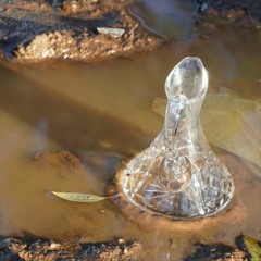 Das Wasser Im Bade (Concert Version)