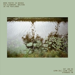 #12 More Poetry is Needed: Elsewhere, Walking in the Peatlands