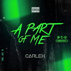 A PART OF ME #02 | CARLEX