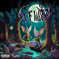 RUN ft DIGINAV (prod. KAREGI)