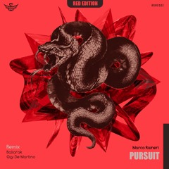 Marco Raineri - Pursuit (Gigi De Martino Remix)