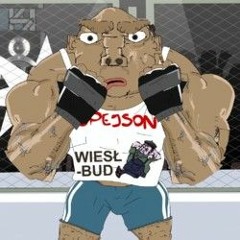 Spejson "Detonator" Adrian Puchacki official playlist