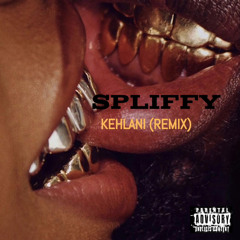 $pliffy x Kehlani Gmix