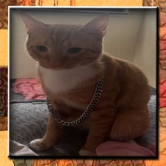 delphinium / im upset remix Prod Oogie Mane