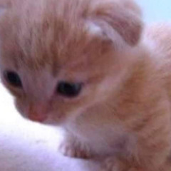 Souvenir- amy n Kuba