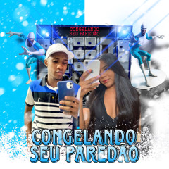 Congelando Seu Paredão