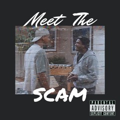 Skyline Damian - Meet the Scam